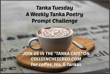 tanka-tuesdays